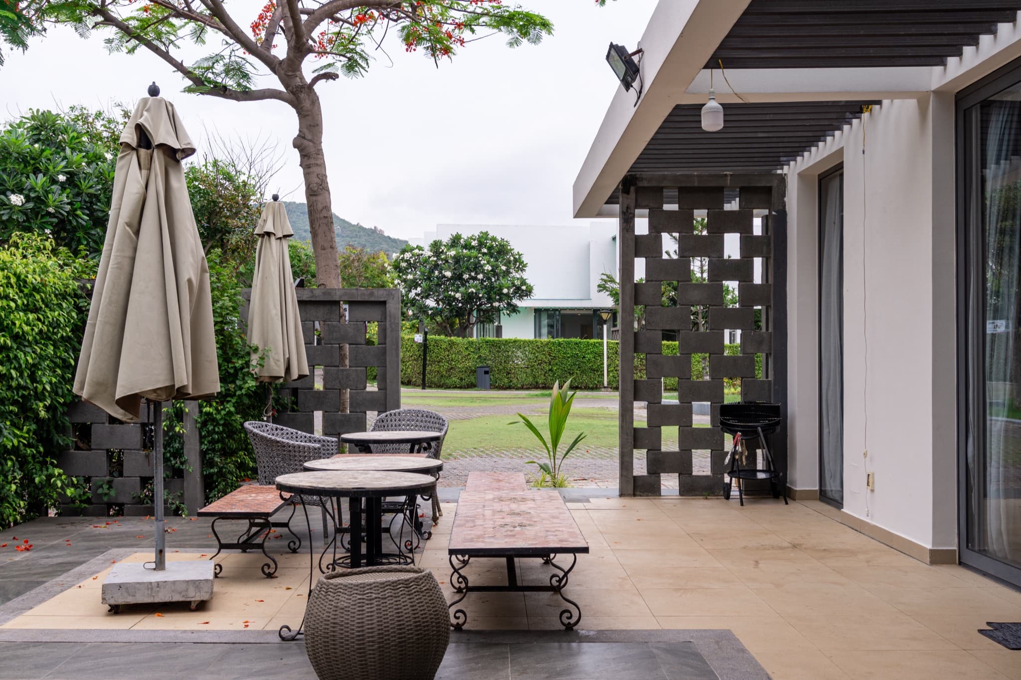 Walled garden courtyard with lawn and frangipani trees