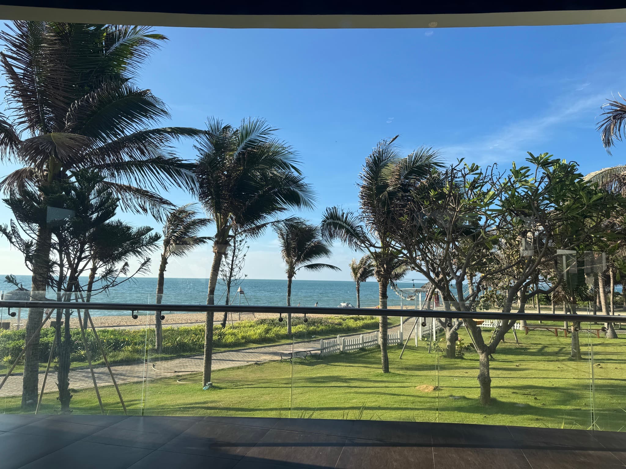 View from the restaurant terrace over palms and lawn to the sea